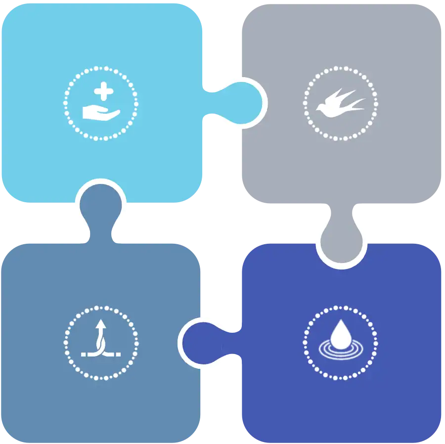 Our approach is centred around four key principles